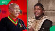 Ngizwe Mchunu and Julius Malema back in court months after public apology