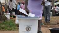 Uganda elections: Opposition strongholds record large voter turnout