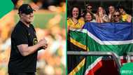 Erasmus salutes SA women ahead of Springboks' clash with Australia: "We are nothing without you"