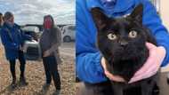 Lost and found cat: Family reunites with missing cat after 13 years