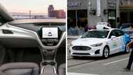 Ford and General Motors seek go-ahead from car safety regulator to test driverless cars with no steering wheels and brake pedals