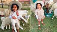 “So adorable”: SA seriously wowed by photos of a young 'farmer' and her sheep