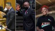 DA and EFF believe Ramaphosa has no trust in ANC ministers as he appoints outside experts to lead teams