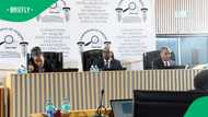 Madlanga Commission of Inquiry formally implicates Brown Mogotsi