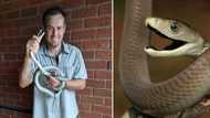 Man chilling at home after long day at work visited by 2.6m black mamba, Nick Evans saves the day