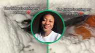TikTok video of Pretoria woman's freezer "eating" her seshebo brings out SA's helpful side, peep share hacks for ice build-up