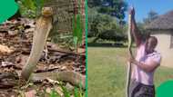 "And the plakkies?": KZN gent's clothing has SA doing a double take as he removes massive cobra