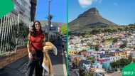 "This should be illegal": R8k rental in Cape Town gives SA chest pains in video, Mzansi reacts