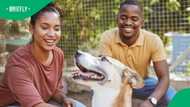 1.7 million stray dogs, one simple way to make a difference this International Dog Day