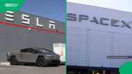 Can someone lose R11.7 trillion and still be the world's richest person? Elon Musk just did