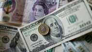 Stocks dive, dollar rallies as dazed traders gird for inflation data