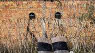 Spain to 'fully' cooperate with migrant death probes