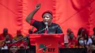 “These wine farms, they are ours": Malema promises to expropriate Stellenbosch land