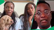 South African man Veli Ngubane's behaviour with 2 women at Cannes Lions Festival costs him his job
