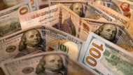 Crisis-hit Egypt's currency halved in value since March