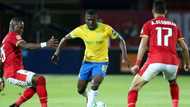 Manqoba Mngqithi: Mamelodi Sundowns were better against Al Ahly