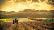 Multi million rand farm left vacant after government purchase, SA not impressed