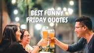 100+ best funny Friday quotes to start your exciting weekend