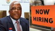 Home Affairs budgets R2.4 billion to hire 10 000 graduates and digitise records, job posts open Friday