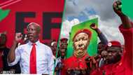 EFF appeals after Malema sentencing as supporters rally outside East London court