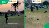 They dumped everything they collected, but the reason behind it won hearts online