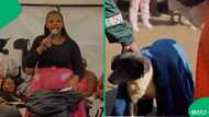 "Pets are family": Dog becomes star after groom's family gifts it during umembeso, SA in stitches
