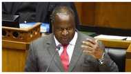 "Unfair": Tito Mboweni disappointed after controversial cartoon surfaces