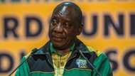 Phala Phala report: Cyril Ramaphosa’s ANC allies convince him to ditch resignation plan and fight for his job