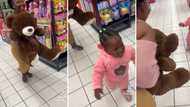 Toddler runs for her life while mother chases her with big teddy bear, video leaves SA laughing