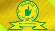 Mamelodi Sundowns suspend coach, launch investigations into improper conduct with ladies