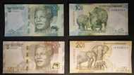 "Get those kids arrested", Mzansi man devastated after his kids cut out animals on his banknotes