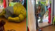 Hulk vs Gravity: A hilarious video was posted of the Incredible Hulk taking a tumble at a children's party