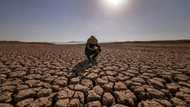 Drought tightens its grip on Morocco