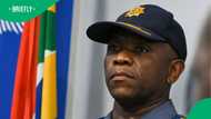 Political parties back Ad Hoc Committee, urge Mkhwanazi to expose all corruption in SAPS