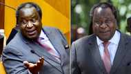 Former Finance Minister Tito Mboweni shows off fresh cut, social media users cannot get enough