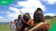 35 initiates dead and 180 rescued from bogus schools in 2026 winter season