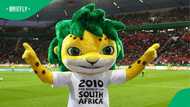 "Bring my leader back": South Africans want Zakumi, 2010 FIFA World Cup mascot, to return