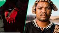 Gauteng High Court issues arrest warrant for Ngizwe Mchunu over contempt of court; SA reacts