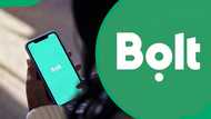 Bolt contact details in South Africa: how to reach customer support fast