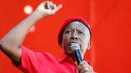 "Just looking for attention": Malema says EFF will be checking employment ratios in other industries too