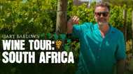 Wine & Dine with Gary Barlow as He Explores SA’s Finest Vineyards on BBC Lifestyle