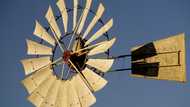 Orania calls for young, skilled workers to move there and help build their community in 2022