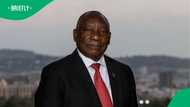 Cyril Ramaphosa says it would be unfair to fire Senzo Mchunu based on allegations alone, SA annoyed