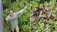 Nick Evans spots 4 massive Southern African Pythons at KZN study site, gives Mzansi the heebie-jeebies