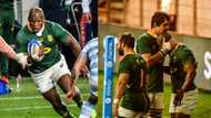 Springboks maintain global domination after demolishing Argentina 29-10