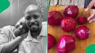 "This is amazing": Pretoria farmer flexes find abundance of homesteading, SA impressed
