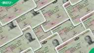 “Extend them for life”: SA reacts as government plans to extend driver’s licence validity to 8 years