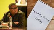 Fikile Mbalula projects loadshedding may end soon as SA experiences relief from high stages of blackouts