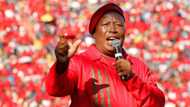 EFF's Julius Malema defends 'letting go' of party's Limpopo leadership: "Something's cooking"