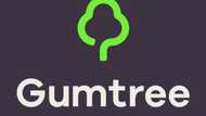 Details on Gumtree South Africa: website, log in, jobs, cars, and other interesting facts